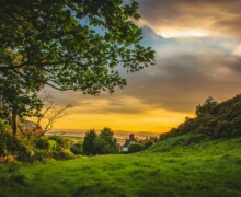 Countryside sunset with trees and fields