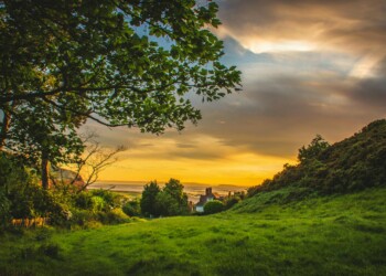 Countryside sunset with trees and fields