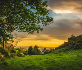 Countryside sunset with trees and fields