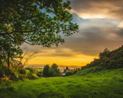 Countryside sunset with trees and fields