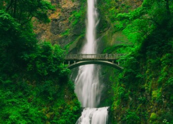 Tall waterfall and bridge in green forest