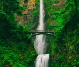 Tall waterfall and bridge in green forest