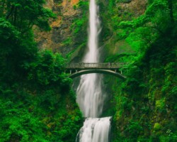 Tall waterfall and bridge in green forest