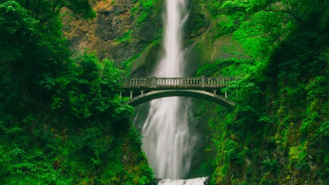 Tall waterfall and bridge in green forest