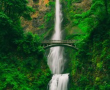 Tall waterfall and bridge in green forest