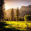 Sunlit meadow with forest and mountains